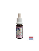 Για ενοχλητικές σκέψεις - Essence Horse Chestnut No. 35, σταγόνες 15 ml