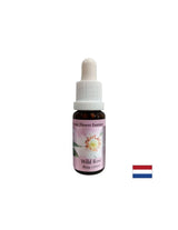 Αυξάνει τη δραστηριότητα και το κίνητρο - Rosehip Essence No. 37, σταγόνες 15 ml