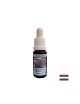 Detoxification - Essence Physalia (Portuguese galley) Νο 4, σταγόνες 15 ml