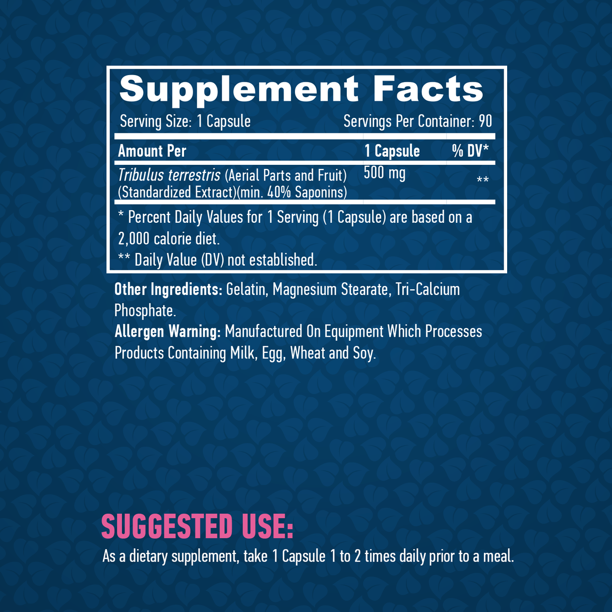 Tribulus terrestris 500 mg/90 καπάκια
