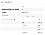 BCAA 2: 1: 1 1000 Xtracaps - 360 κάψουλες
