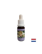 Συντονίζει τις θεραπευτικές ενέργειες - Essence Coordinating Orchid No. 8, σταγόνες 15 ml