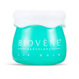 Lip balm με αβοκάντο και κολλαγόνο για όγκο και απαλότητα - 8 γραμμάρια