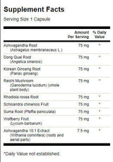 Adaptogenic Herbal Complex | Με Rhodiola Ashwagandha Ginseng - 60 κάψουλες