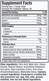 Amino Build/Performance-Enhancing BCAA Formula 400 γραμμάρια