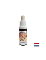 Για προβλήματα σχέσεων - Damabia Essence (Angel Essence No. 5), σταγόνες 15 ml