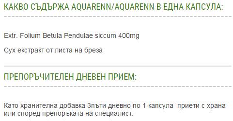 AquaRenn | Aquaren - Birch Extract 400 mg - 60 κάψουλες