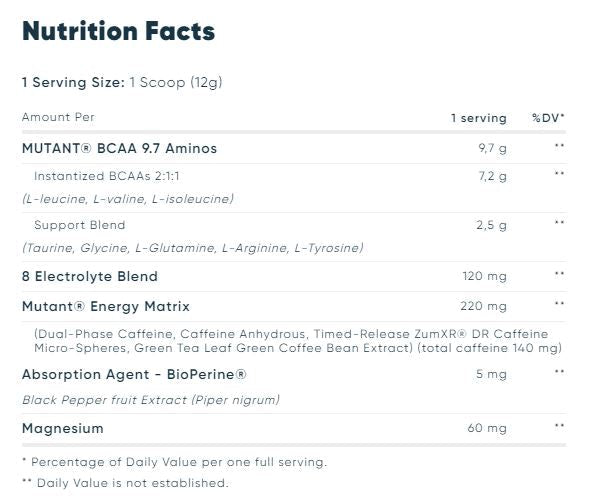 BCAA 9,7 ENERGY - 0,360 kg