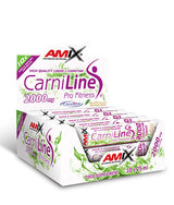 CarniLine ® Pro Fitness 2000/25 ml./10 Amp.