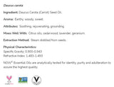 Καρότος 100% Pure Daucus Carota - 30 ml