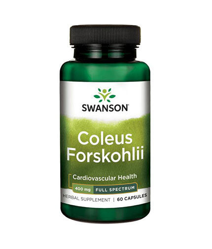 Coleus forskohlii/forskolin 400 mg - 60 κάψουλες