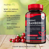 Cranberry - Red Cranberry 12500 mg 180 vegan κάψουλες