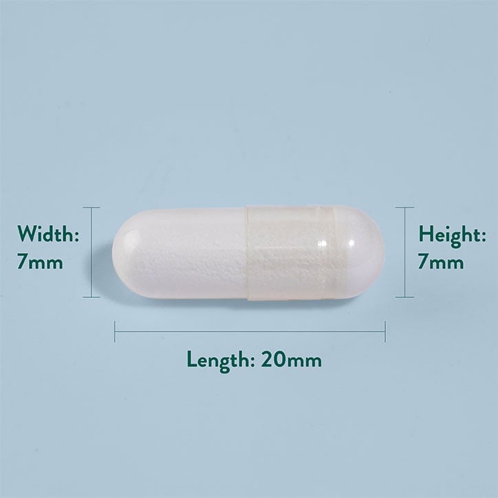 Διατροφή PE | L-Αργινίνη 500 mg - 50 κάψουλες