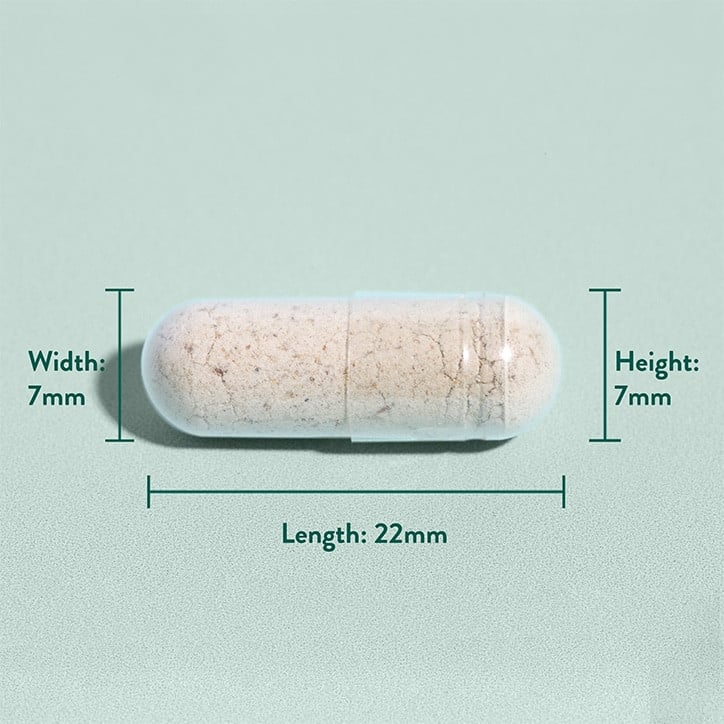 Psyllium Husk Fiber (Psyllium Husk) 500mg 180 κάψουλες Holland & Barrett