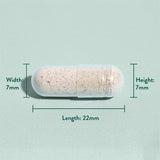 Psyllium Husk Fiber (Psyllium Husk) 500mg 180 κάψουλες Holland & Barrett