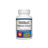 Εκχύλισμα Mulberry WellBetx 100 mg - 90 κάψουλες
