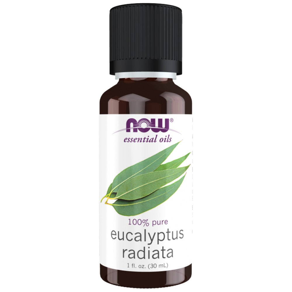 Eucalyptus Radiata Oil | 100% Pure Eucalyptus Radiata - 30 ml