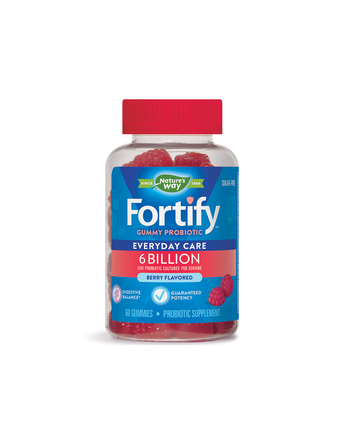 Gummy Probiotic - Fortify ™ Gummy Probiotic - Fortify ™ Gummy Probiotic - 6 δισεκατομμύρια ενεργά προβιοτικά, 60 δισκία πηκτής της φύσης