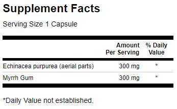 Πλήρες φάσμα Echinacea και Myrrh Gum 60 κάψουλες
