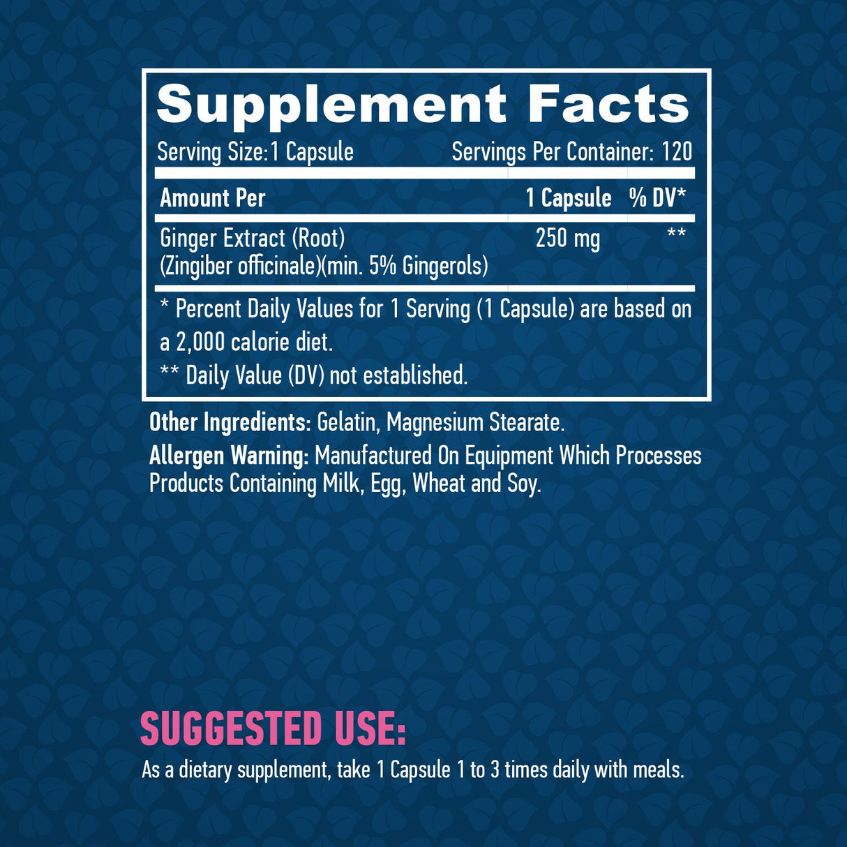 Τζίντζερ 250mg./120 VCAPs.