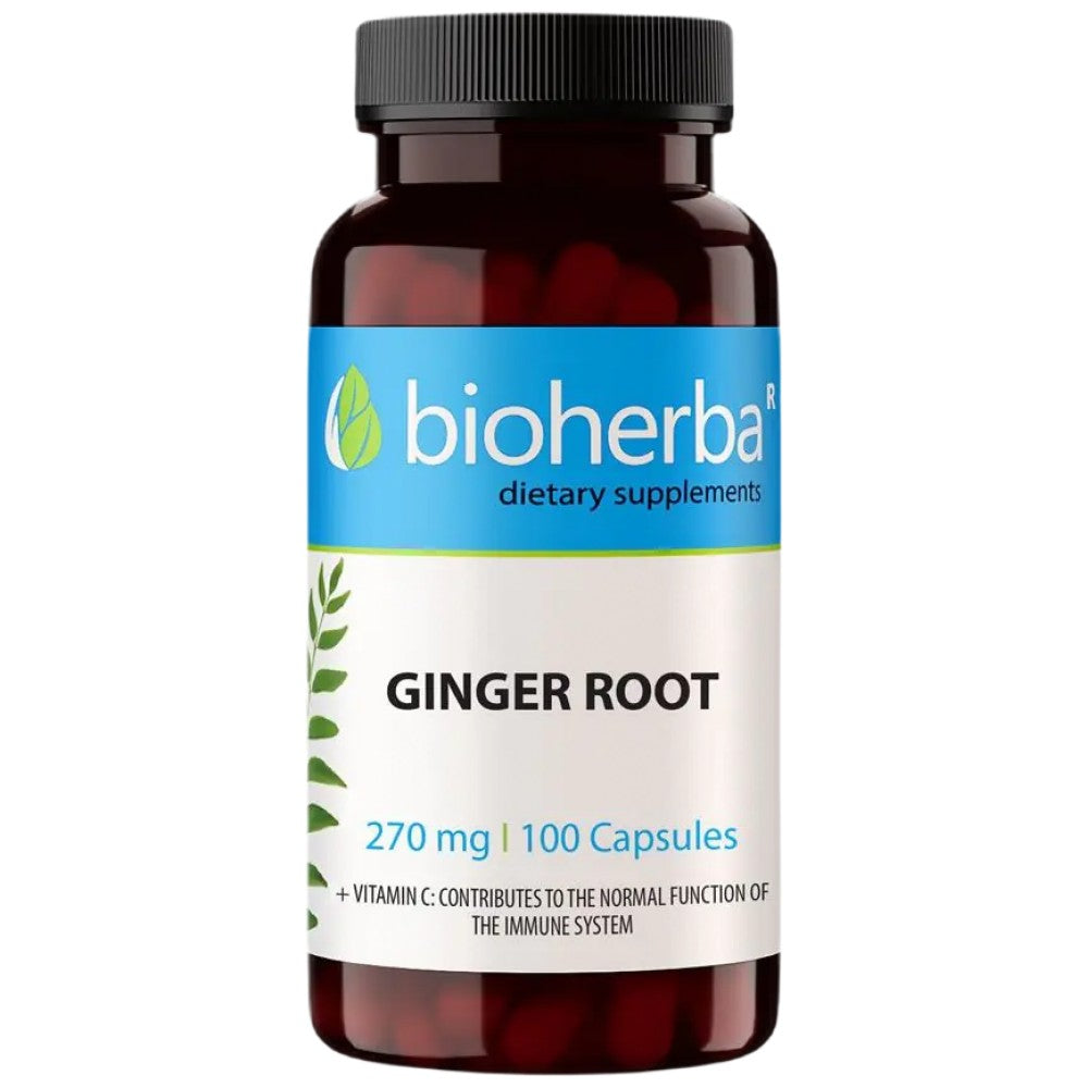 Ρίζα τζίντζερ 270 mg - 100 κάψουλες