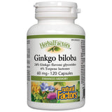 Ginkgo Biloba 60 mg - 120 κάψουλες