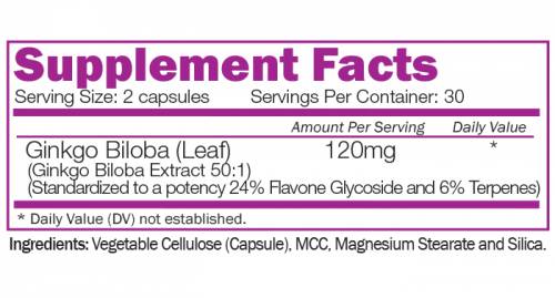 Εκχύλισμα Ginkgo Biloba 120 mg 60 κάψουλες