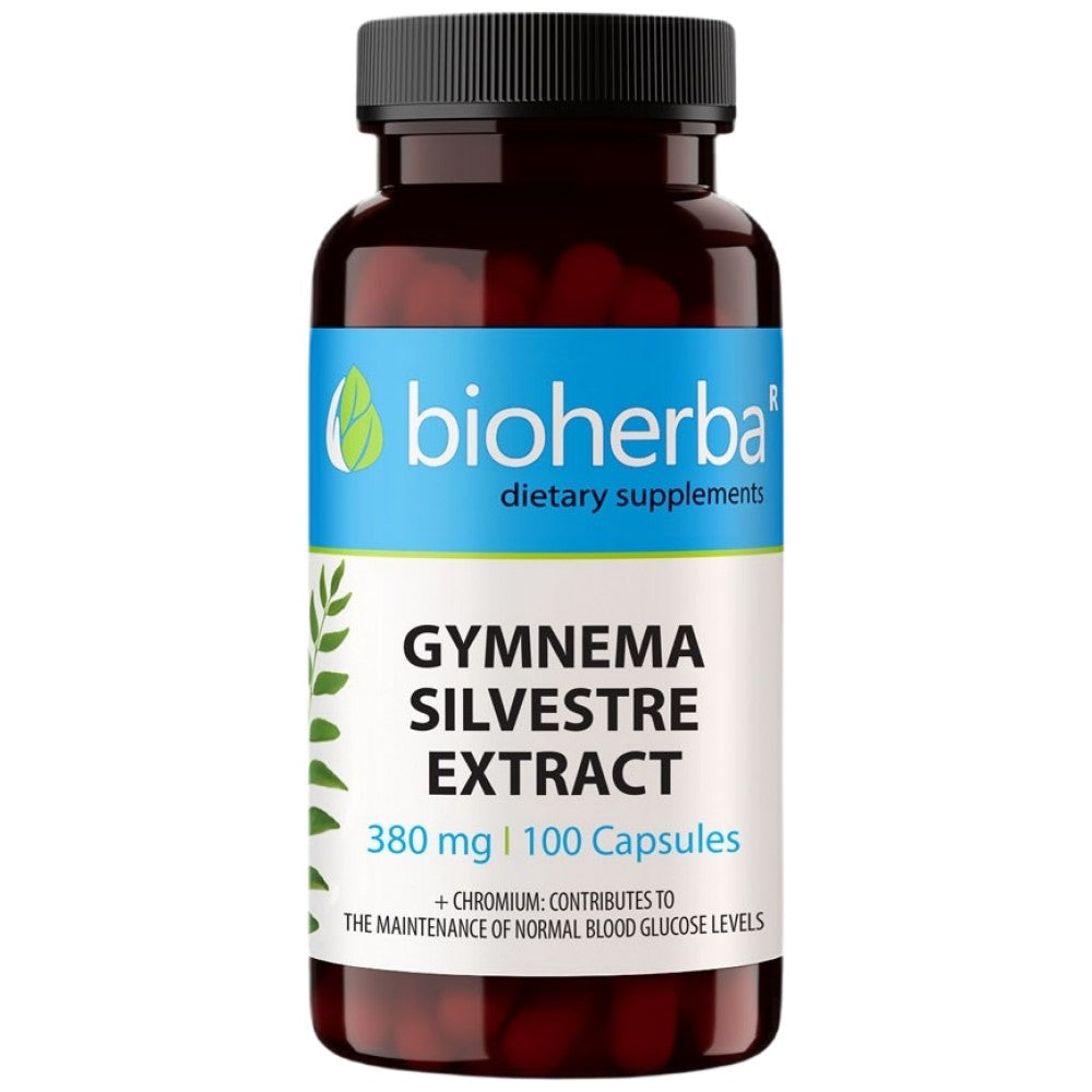 Gymnema Sylvestre Extract 380 mg - 100 κάψουλες