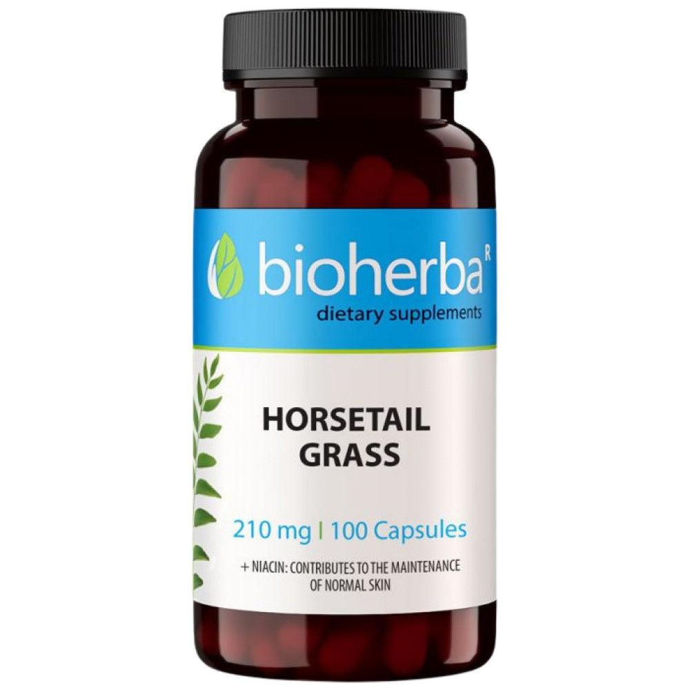 Χόρτο Horsetrail 210 mg - 100 κάψουλες