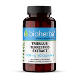 Εκχύλισμα Tribulus Terrestris 300 mg - 60 κάψουλες