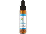 Το Bach πέφτει λευκό κάστανο 20 ml