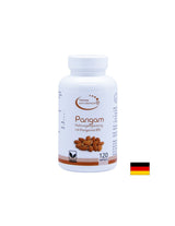 Pangam nahrungsegänzung mit pangamat b15 - pangam (βιταμίνη b15), 120 κάψουλες el compra