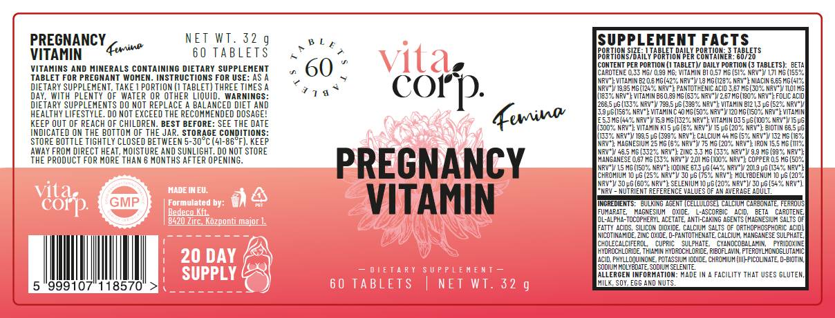 Εγκυμοσύνη Vitamin Femina - 60 Δισκία