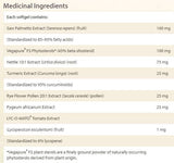 Κάψουλες Pure Food Super Mushroom NON-GMO 60