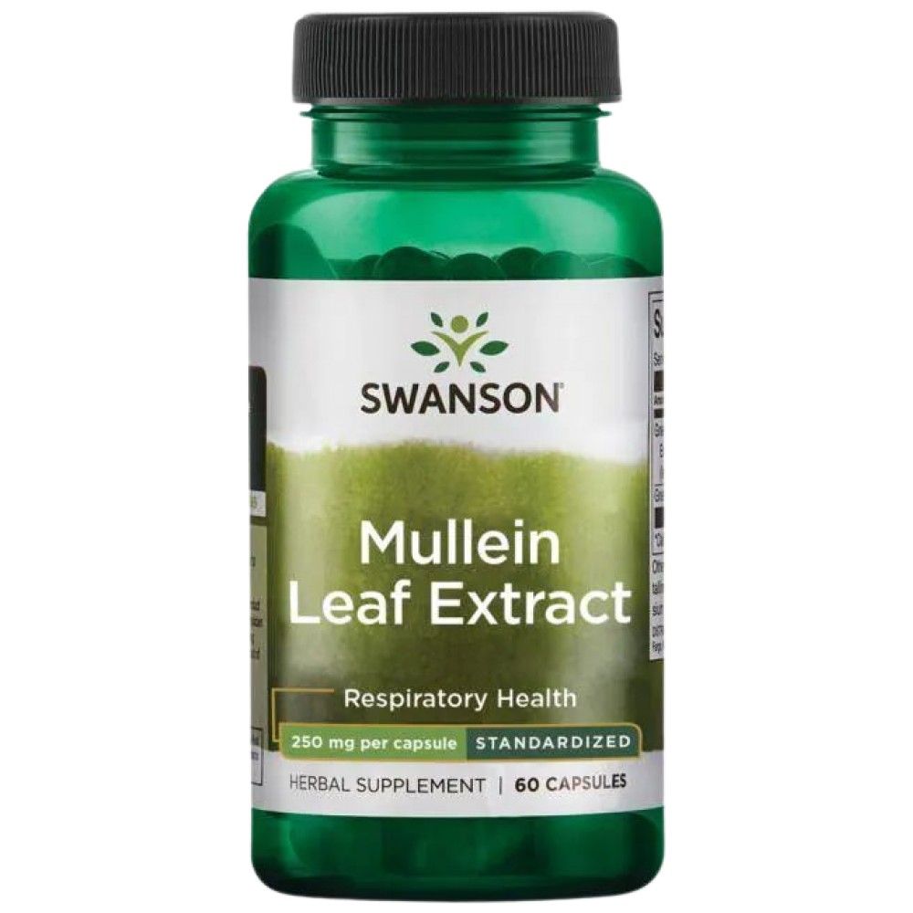 Πλήρες φάσμα φάσματος Mullein Leaf 500 mg - 60 κάψουλες