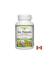 Saw Palmetto με λυκοπένιο - 90 κάψουλες πηκτής