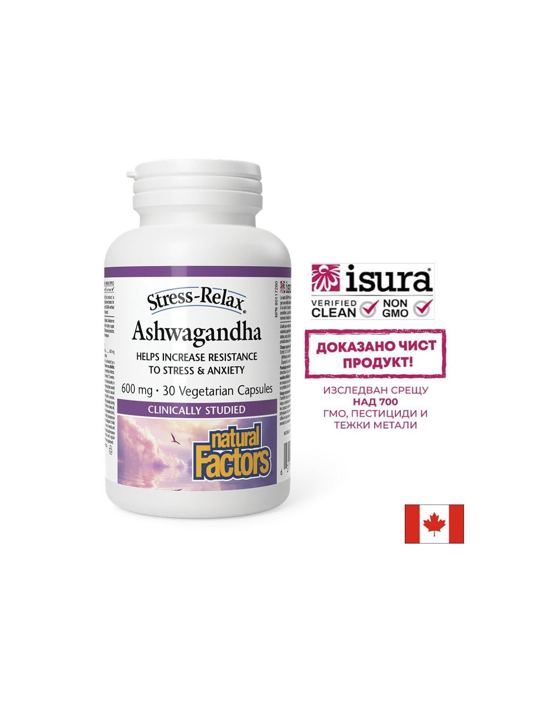 ASHWAGANDHA-RELAX 600 mg | Με KSM -66 - 30 κάψουλες