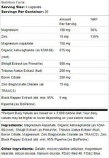 Υποστήριξη δοκιμών | με Ashwagandha & Σιλατζίτ - 120 κάψουλες