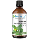 Βάση Portulaca Oleracea (Purslane) - 100 ml