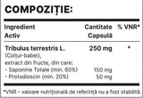 Tribul 250mg | Εκχύλισμα Tribulus terrestris - 60 κάψουλες