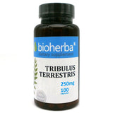 Tribulus Terrestris 250 mg - 100 κάψουλες