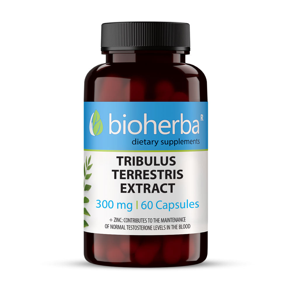 Tribulus Terrestris Extract 300 mg - 60 κάψουλες