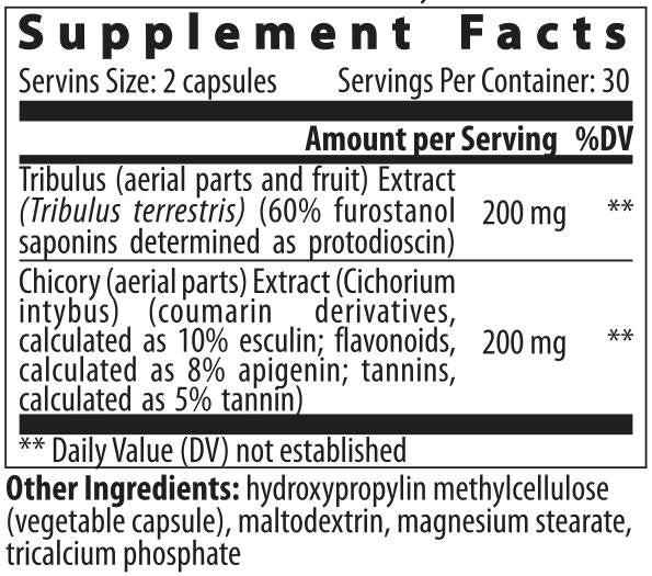 Tribulus Cichorium - 60 κάψουλες