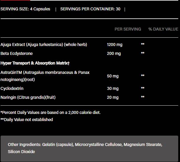 Turkesterone 1200 | Με βήτα -Ecdysterone & Astragin - 120 κάψουλες