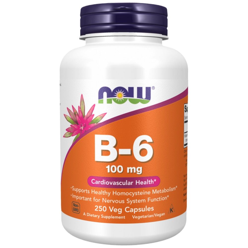 Βιταμίνη Β-6 100 mg - 250 κάψουλες