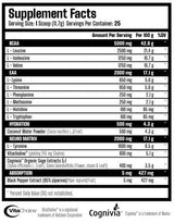 X Neuro | EAA, BCAA & Nootropic - 292,5 γραμμάρια