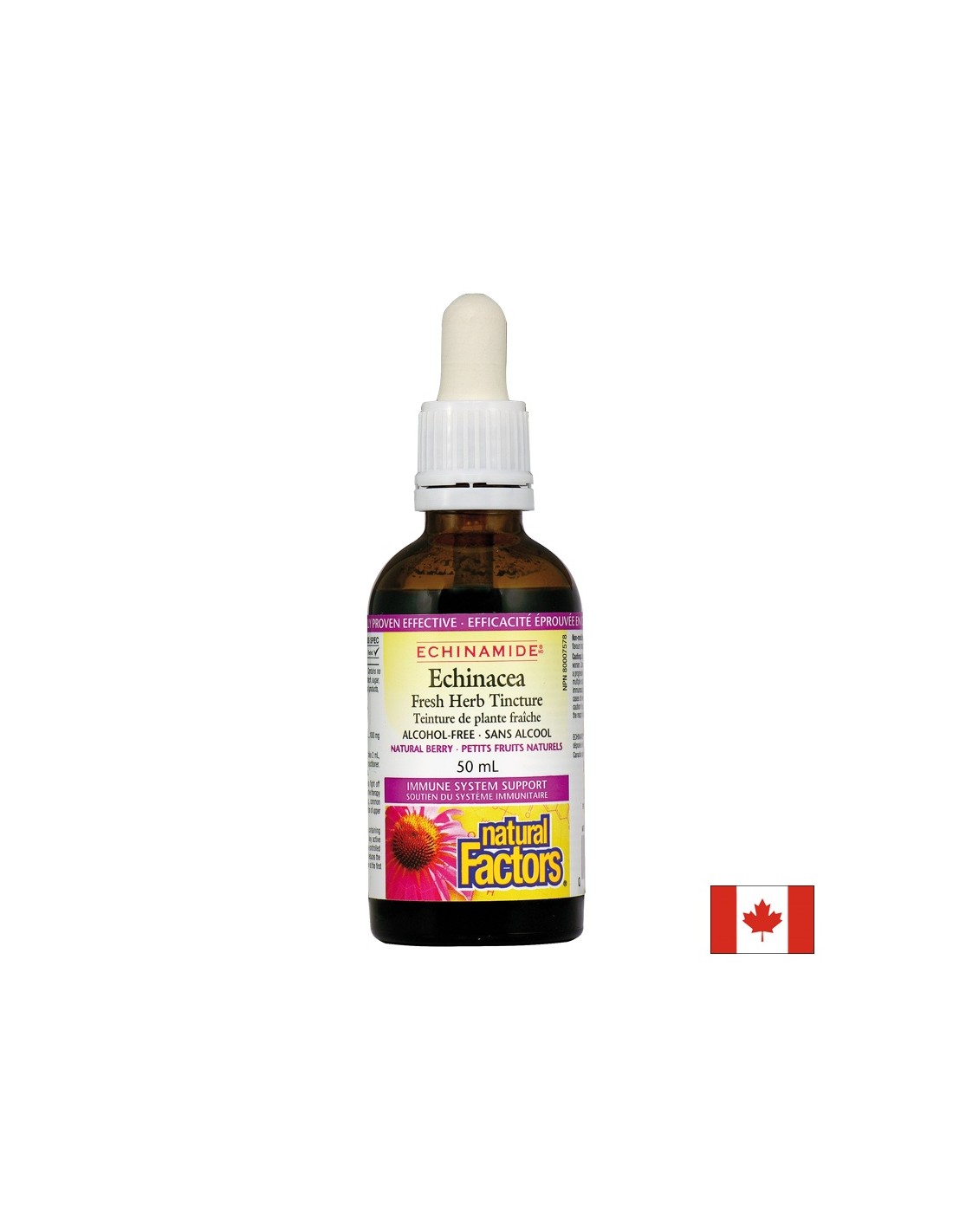 Echinacea Fresh Herb Tincture 1000 mg - 50 ml