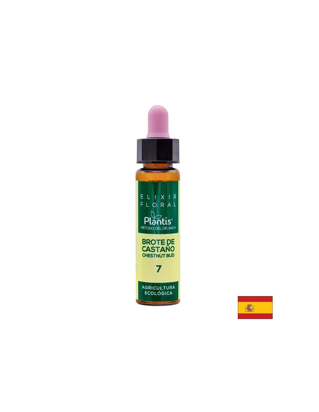 Brote de castaño (Chestnut but) Elixir Floral 7 - Chestnut bud flower elixir, 10 ml Arte<tc>san</tc>μεταξύ