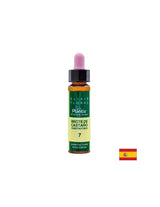 Brote de castaño (Chestnut but) Elixir Floral 7 - Chestnut bud flower elixir, 10 ml Arte<tc>san</tc>μεταξύ
