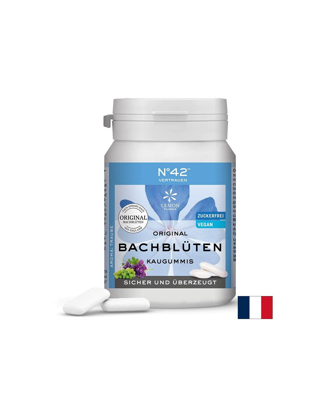 Ο Δρ. Bach Flower Essence Chews N ° 42 - Εμπιστοσύνη και εμπιστοσύνη στις δικές του δυνατότητες, 40 μάσημα με γεύση βατόμουρου